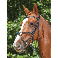 Bridon Collegiate ComFiTec Grackle Preto