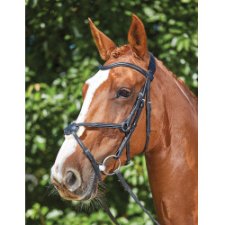 Bridon Collegiate ComFiTec Grackle Preto