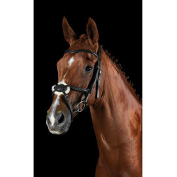 Bridon Collegiate ComFiTec Grackle Preto