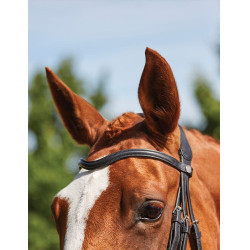 Bridon Collegiate ComFiTec Grackle Preto