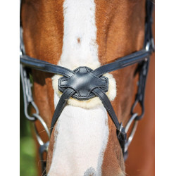 Bridon Collegiate ComFiTec Grackle Preto