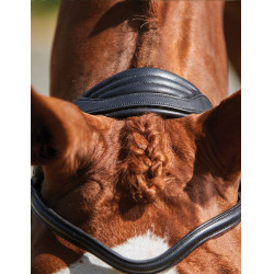 Bridon Collegiate ComFiTec Grackle Preto