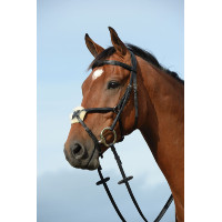 Bridon Collegiate Syntovia+ Preto