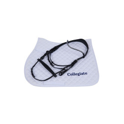 Bridão crystal Collegiate ComFiTec