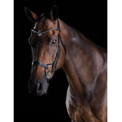 Bridão crystal Collegiate ComFiTec Preto Bridão crystal Collegiate ComFiTec Preto