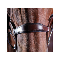 Bridão crystal Collegiate ComFiTec Preto