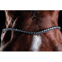 Bridão crystal Collegiate ComFiTec Preto