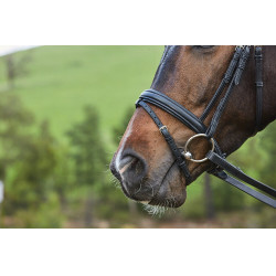 Cabeçada com muserola combinada Collegiate Syntovia+ Preto