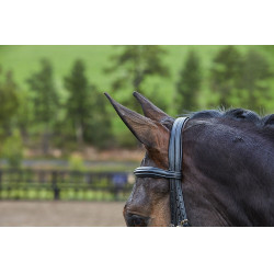 Cabeçada com muserola combinada Collegiate Syntovia+ Preto