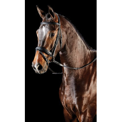 Cabeçada com muserola combinada Collegiate Syntovia+ Preto