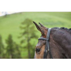 Cabeçada com muserola combinada Collegiate Syntovia+ Preto