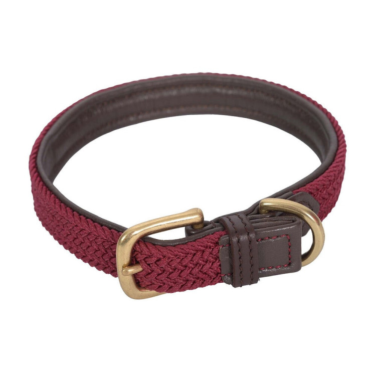 Coleira para cão Weatherbeeta de couro trançado Coleira para cão Weatherbeeta de couro trançado