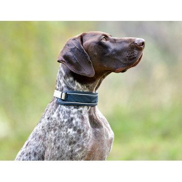 Coleira para cão Weatherbeeta Explorer Coleira para cão Weatherbeeta Explorer