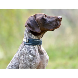 Coleira para cão Weatherbeeta Explorer Coleira para cão Weatherbeeta Explorer