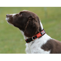 Colar para cão Weatherbeeta Therapy-Tec Colar para cão Weatherbeeta Therapy-Tec