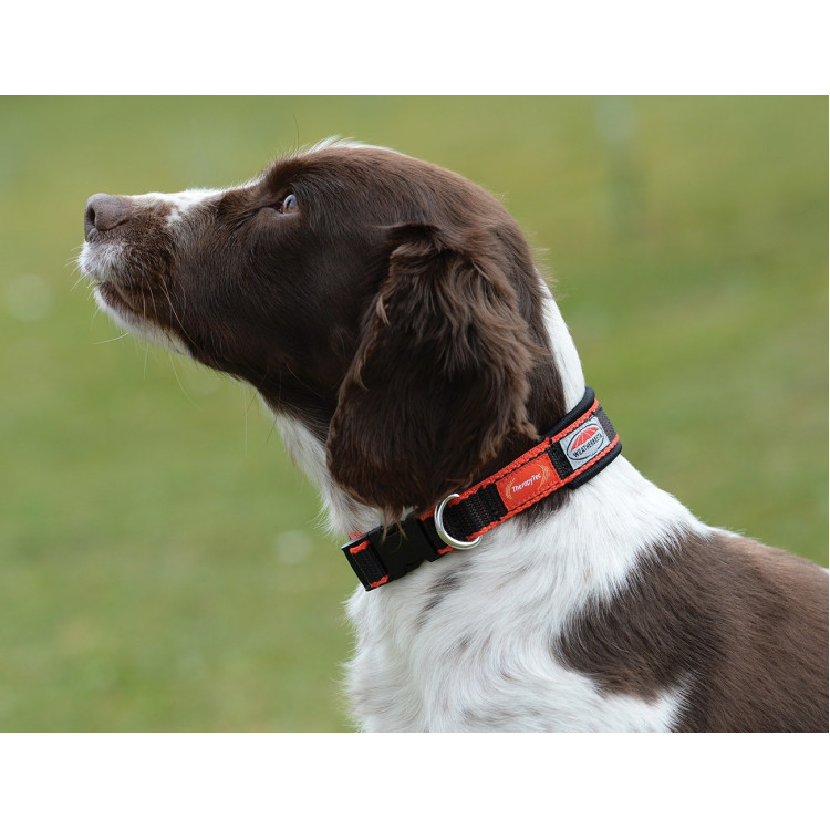 Colar para cão Weatherbeeta Therapy-Tec Colar para cão Weatherbeeta Therapy-Tec