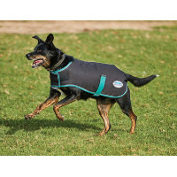 Capa para cão 220g Weatherbeeta Green-Tec 900D Preto / verde garrafa