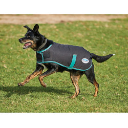 Capa para cão 220g Weatherbeeta Green-Tec 900D