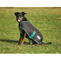 Capa para cão 220g Weatherbeeta Green-Tec 900D Preto / verde garrafa Capa para cão 220g Weatherbeeta Green-Tec 900D Preto / verde garrafa