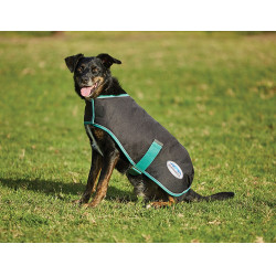 Capa para cão 220g Weatherbeeta Green-Tec 900D Preto / verde garrafa