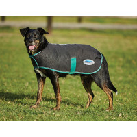 Capa para cão 220g Weatherbeeta Green-Tec 900D Preto / verde garrafa Capa para cão 220g Weatherbeeta Green-Tec 900D Preto / verde garrafa