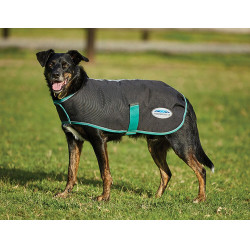 Capa para cão 220g Weatherbeeta Green-Tec 900D Preto / verde garrafa
