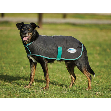 Capa para cão 220g Weatherbeeta Green-Tec 900D Capa para cão 220g Weatherbeeta Green-Tec 900D