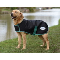 Capa para cão 50g Weatherbeeta Green-Tec 900D Preto / verde garrafa Capa para cão 50g Weatherbeeta Green-Tec 900D Preto / verde garrafa