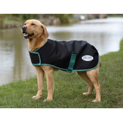 Capa para cão 50g Weatherbeeta Green-Tec 900D Capa para cão 50g Weatherbeeta Green-Tec 900D