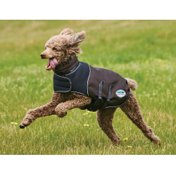 Cobertor para cão 100g Weatherbeeta ComFiTec Ultra Cozi Cobertor para cão 100g Weatherbeeta ComFiTec Ultra Cozi