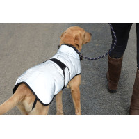 Capa para cão 220g Weatherbeeta refletora Prata Capa para cão 220g Weatherbeeta refletora Prata