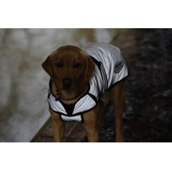 Capa para cão 220g Weatherbeeta refletora Capa para cão 220g Weatherbeeta refletora