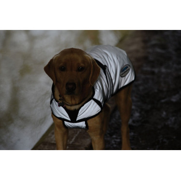 Capa para cão 220g Weatherbeeta refletora Capa para cão 220g Weatherbeeta refletora