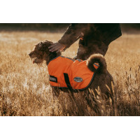 Capa para cão Weatherbeeta 300D refletora Laranja Capa para cão Weatherbeeta 300D refletora Laranja