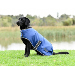 Capa para cão Weatherbeeta ComFiTec