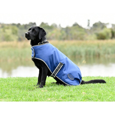 Capa para cão Weatherbeeta ComFiTec