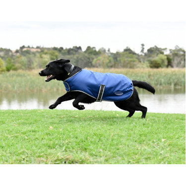 Capa para cão Weatherbeeta ComFiTec Capa para cão Weatherbeeta ComFiTec