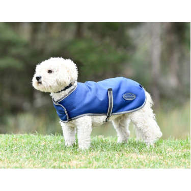 Capa para cão Weatherbeeta ComFiTec Capa para cão Weatherbeeta ComFiTec