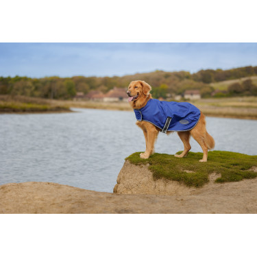 Capa para cão Weatherbeeta ComFiTec Capa para cão Weatherbeeta ComFiTec