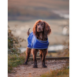 Capa para cão Weatherbeeta ComFiTec Azul escuro / cinza / branco