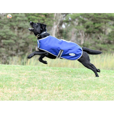 Capa para cão Weatherbeeta ComFiTec Premier Free Capa para cão Weatherbeeta ComFiTec Premier Free