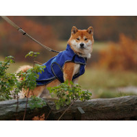 Capa para cão Weatherbeeta Deluxe ComFiTec Azul escuro / cinza / branco Capa para cão Weatherbeeta Deluxe ComFiTec Azul escuro / cinza / branco
