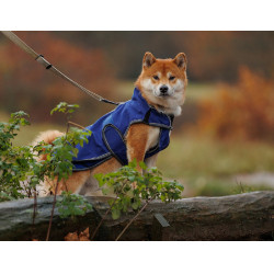 Capa para cão Weatherbeeta Deluxe ComFiTec Capa para cão Weatherbeeta Deluxe ComFiTec