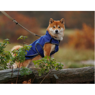 Capa para cão Weatherbeeta Deluxe ComFiTec Capa para cão Weatherbeeta Deluxe ComFiTec