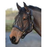 Franja anti-moscas Saxon Preto Franja anti-moscas Saxon Preto