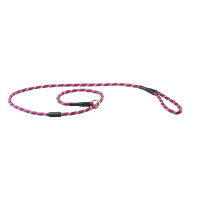 Trela para cão Weatherbeeta de couro e corda Bordéus / castanho Bordô Trela para cão Weatherbeeta de couro e corda Bordéus / castanho Bordô