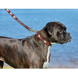 Coleira para cão Weatherbeeta de couro Polo Coleira para cão Weatherbeeta de couro Polo