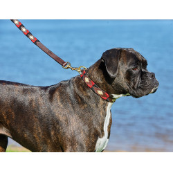 Coleira para cão Weatherbeeta de couro Polo Coleira para cão Weatherbeeta de couro Polo