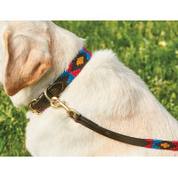 Coleira para cão Weatherbeeta de couro Polo Cowdray castanho / preto / vermelho / branco Multicolor