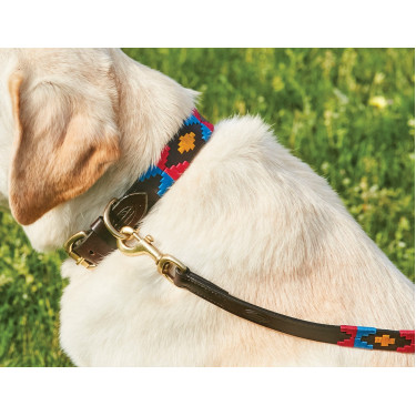Coleira para cão Weatherbeeta de couro Polo Marrom cowdray / rosa / azul / amarelo Multicolor
